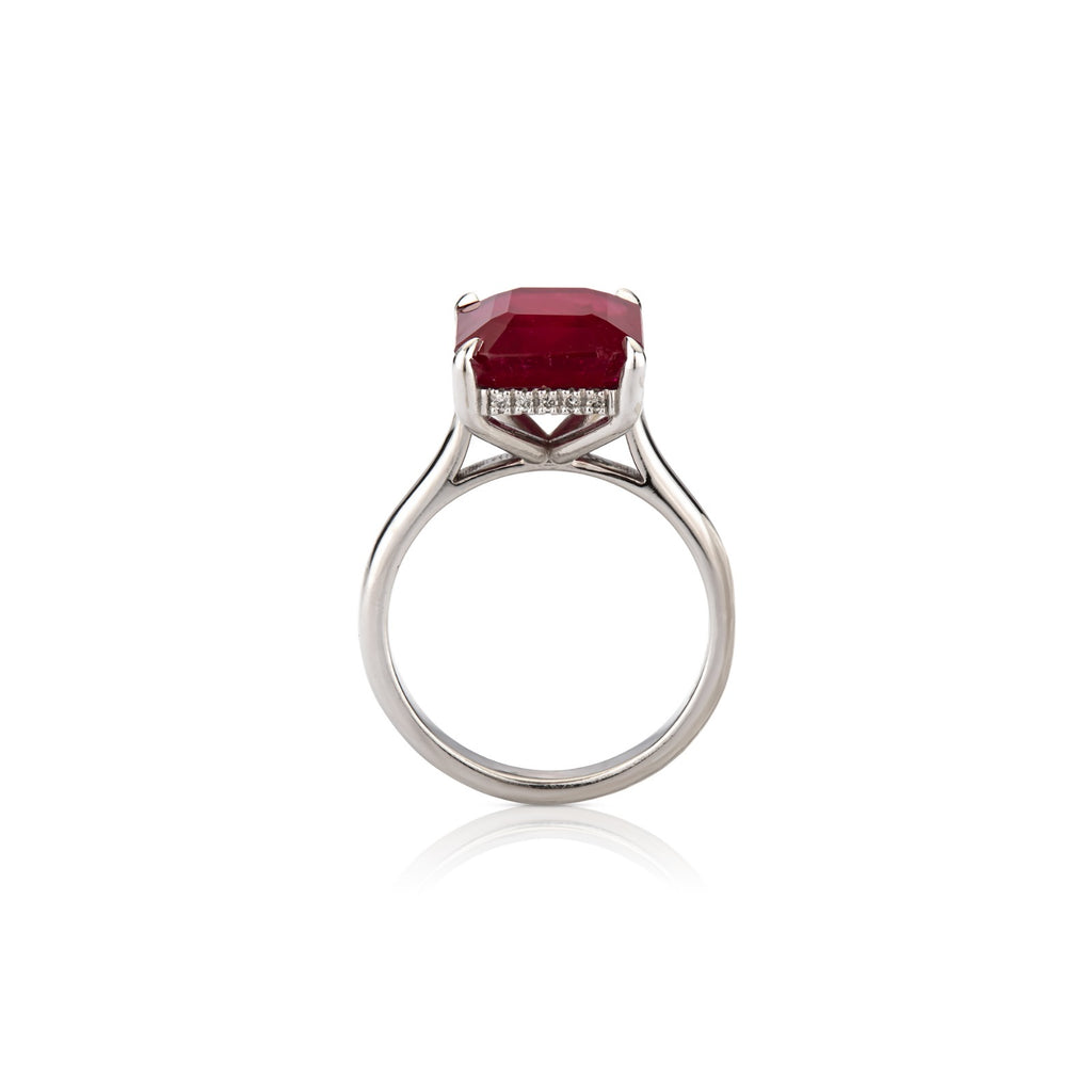 BELLA